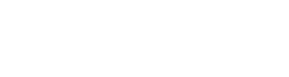 LiteZap Logo full